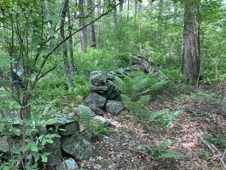 Campbell Land (Sargent Rd), Boxborough Sudbury Valley Trustees